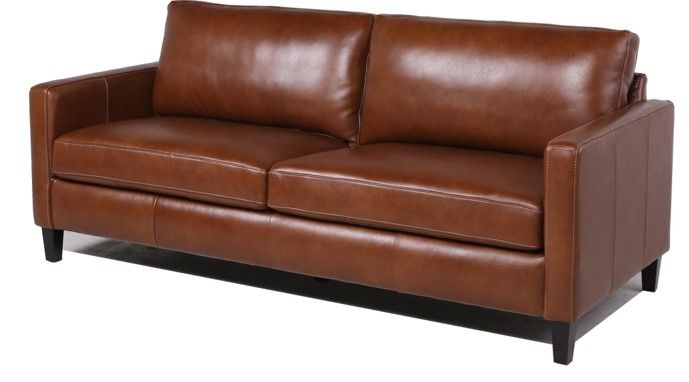 Modern & Contemporary Leather Sofa by Couch.com