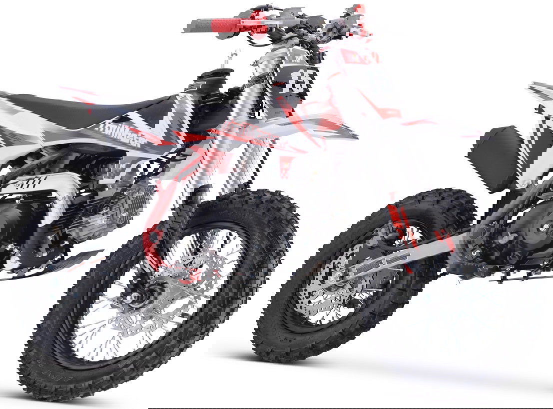 TrailMaster TM15 110cc Dirt Bike, 4-Speed Semi-Auto, Electric Start w/Kick backup, Dual Disc Brakes (12/10) Ages 8-12