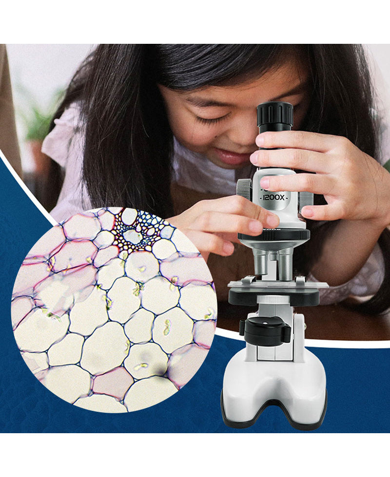High Definition 1200x Microscope Toy Set Primary School Biological Science Experiment