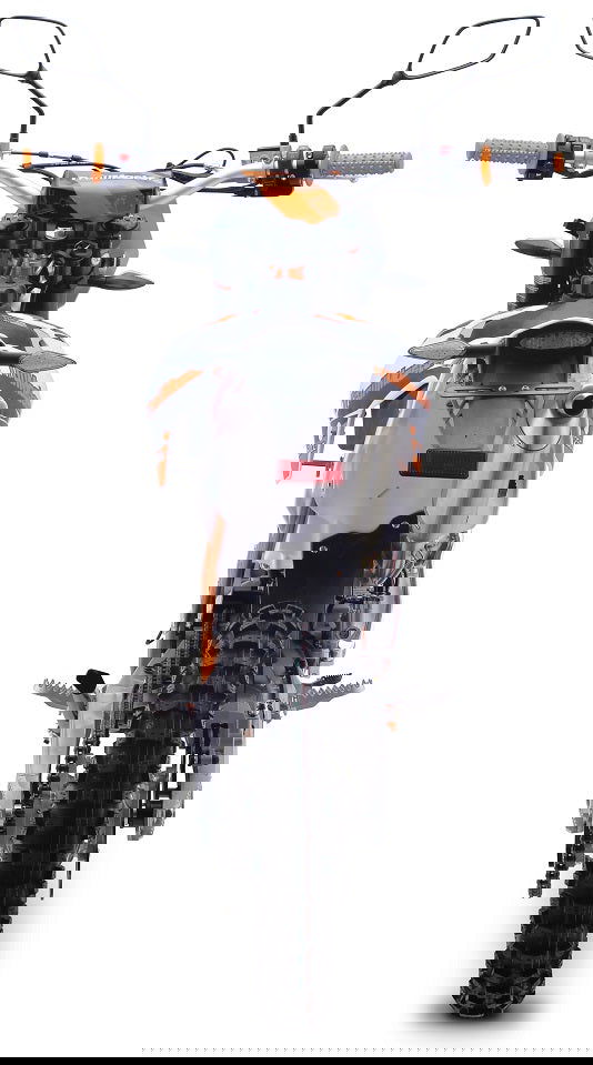 TrailMaster TM31X PRO 250cc Dirt Bike 5-Speed Manual Dual Disc Brakes, Electric Start with Kick backup (19/16)