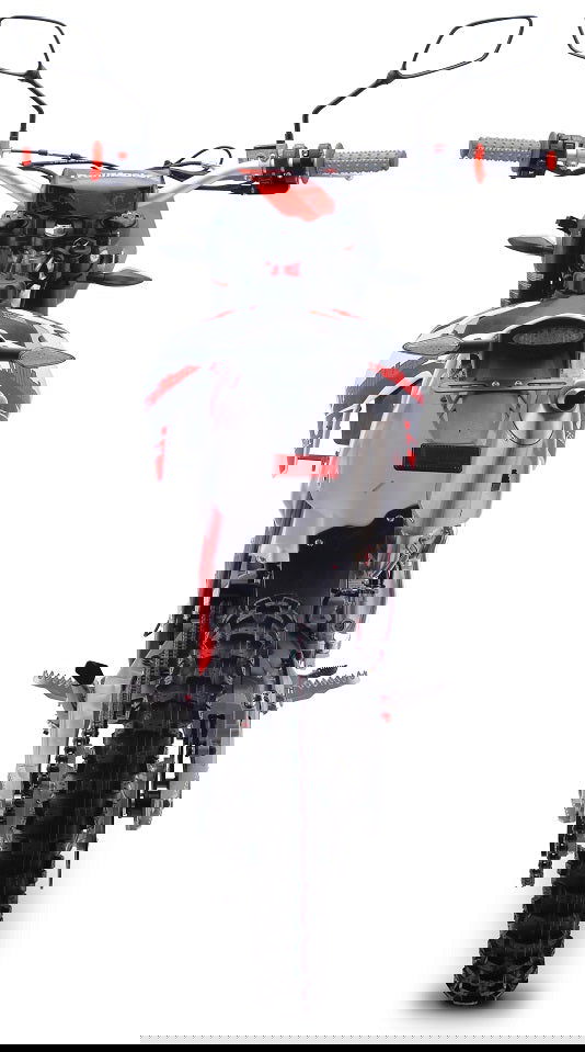 TrailMaster TM31X PRO 250cc Dirt Bike 5-Speed Manual Dual Disc Brakes, Electric Start with Kick backup (19/16)