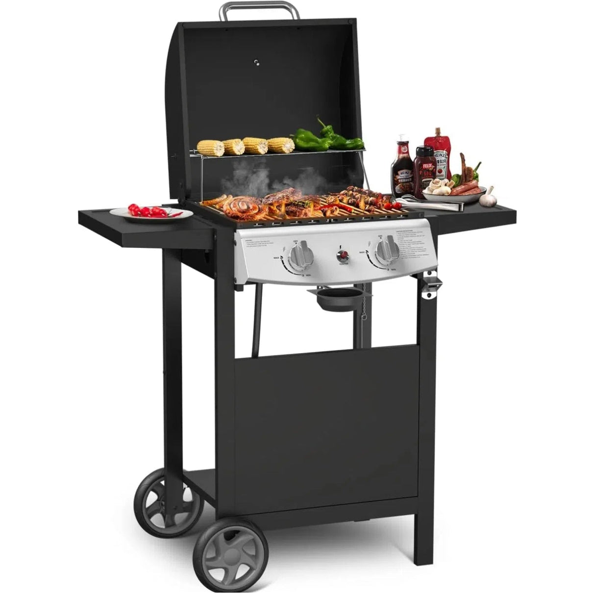 2-Burner Propane Gas Grill,228 Sq. Inch Cooking Area,Outdoor Camping Picnic for Patio,Party,Black