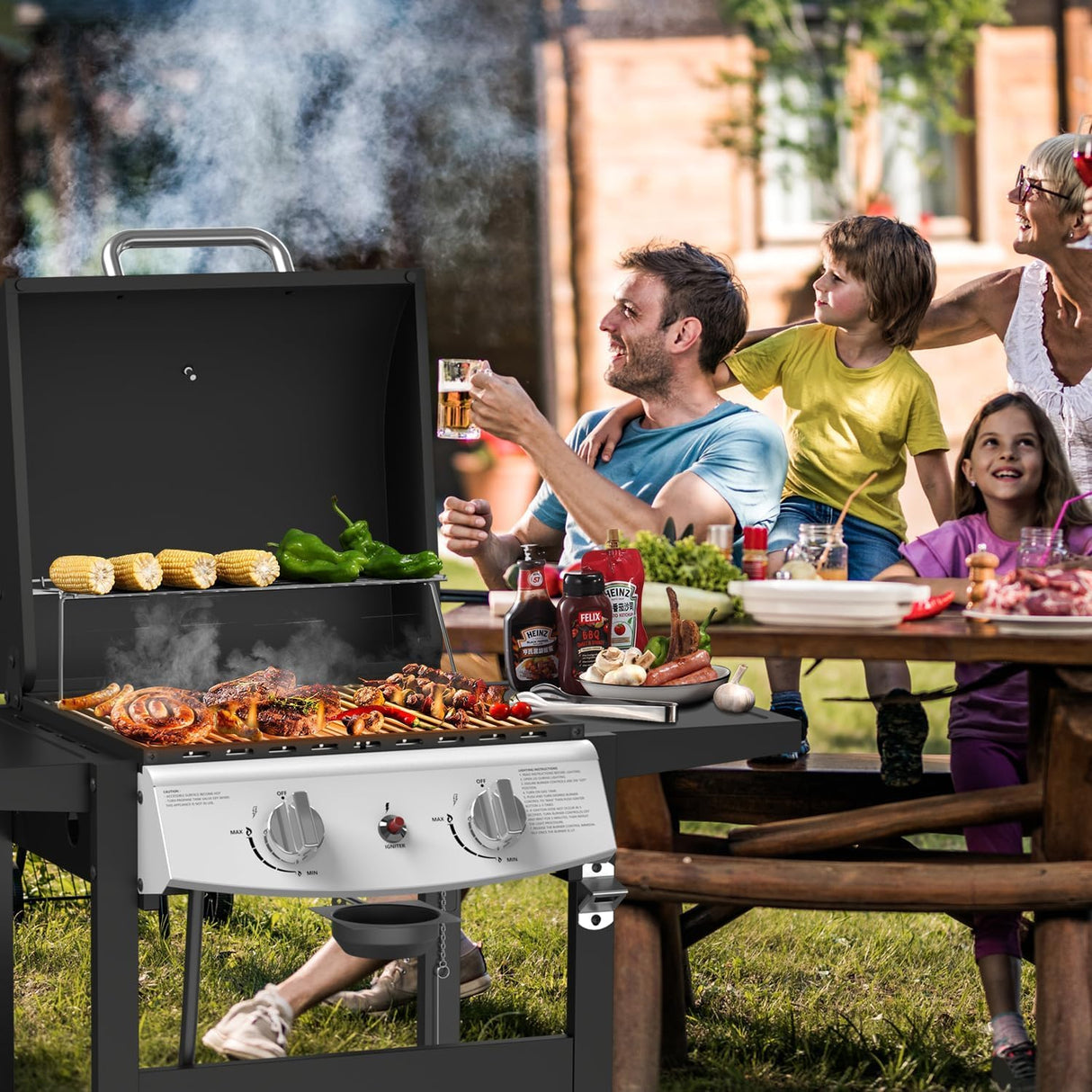 2-Burner Propane Gas Grill,228 Sq. Inch Cooking Area,Outdoor Camping Picnic for Patio,Party,Black