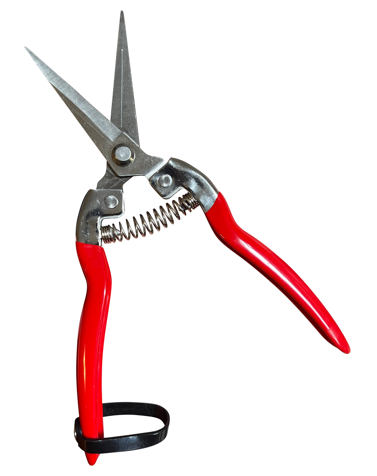 8-Inch Pruning Snips by Garden Guru