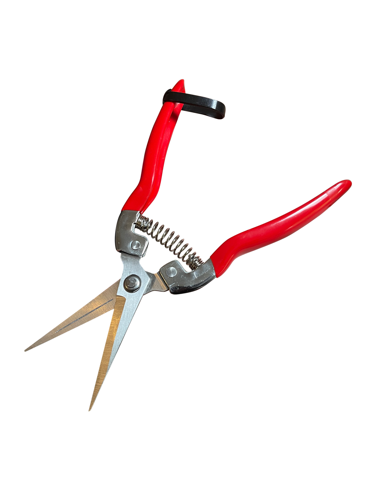 8-Inch Pruning Snips by Garden Guru