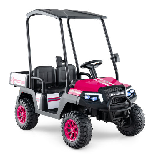 24V Kids Golf Cart 4WD 2-Seater Ride on Car with Storage Trunk and Horn-Pink