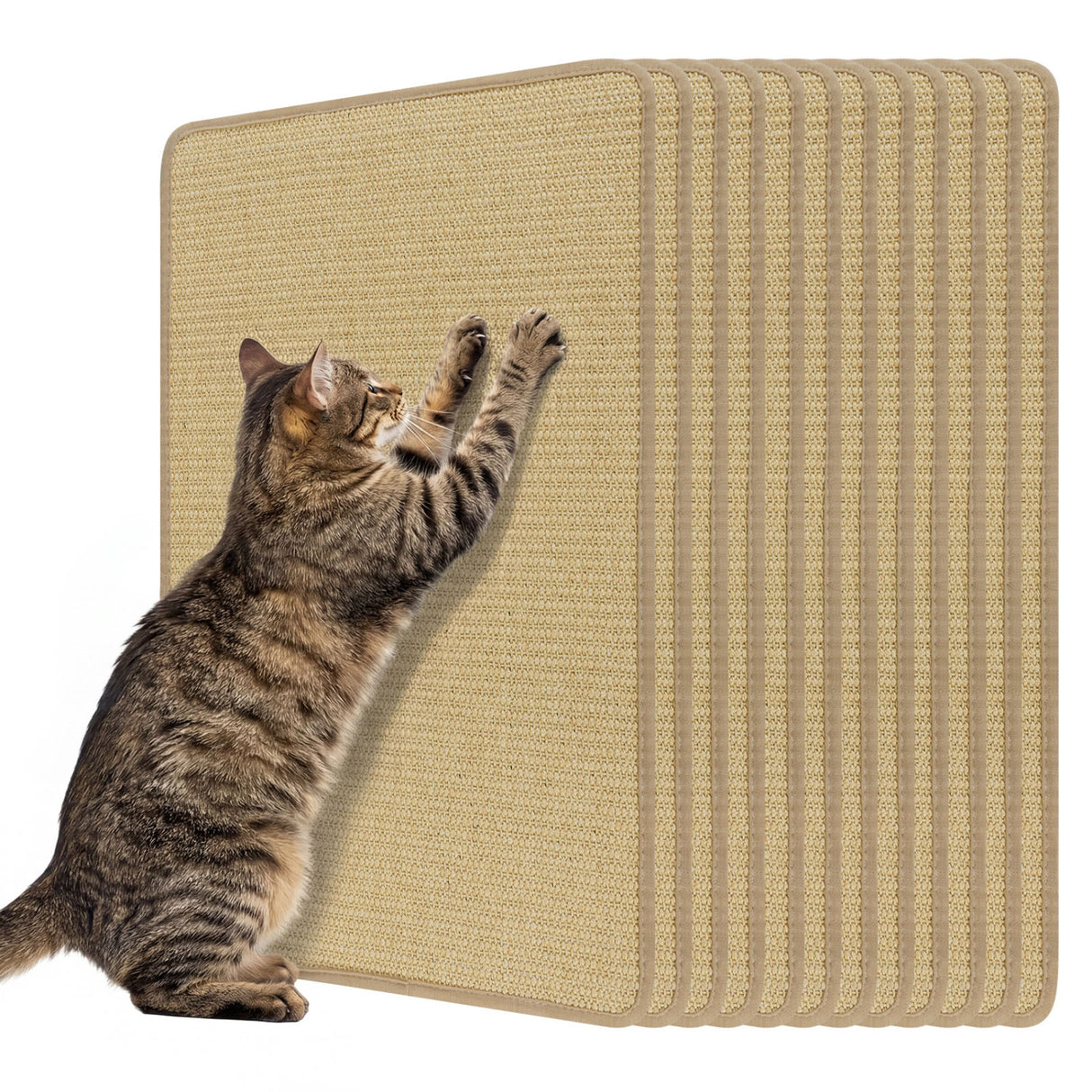 24 x 16 Inch 6-Piece Cat Scratcher Mat Set