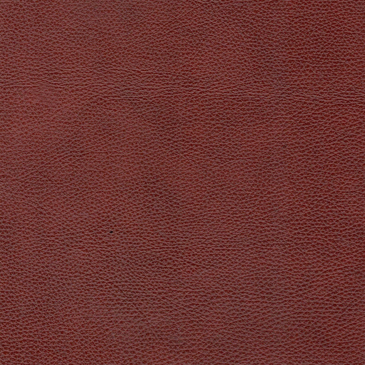 Mid-Century Tufted Leather Sofa by Couch.com