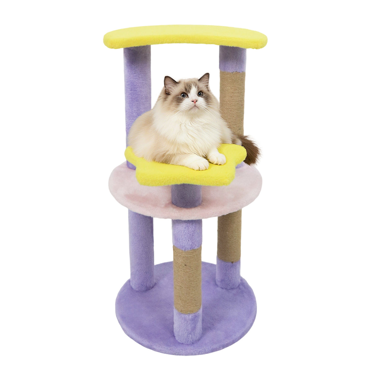 29 Inches Cute Modern Cat Tree with Star and Moon Shaped Platforms-Purple