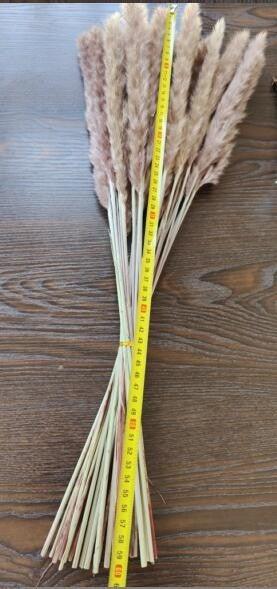 30/50pcs Bulrush Natural Dried Small Pampas Grass Artificial Decor Wedding Flower Bunch Home Office Floor Vase Filler for Living Room Kitchen And Event Decoration