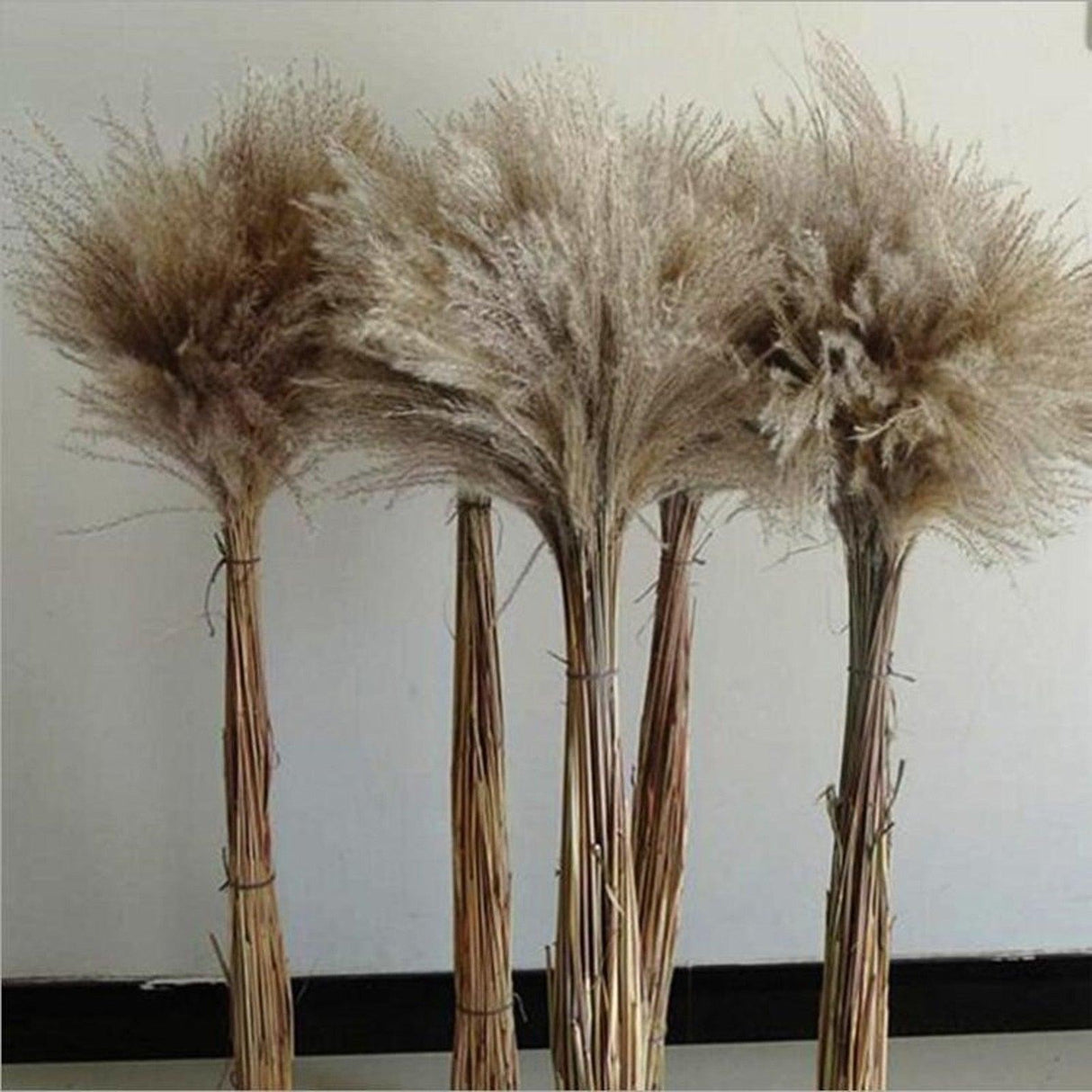 30/50pcs Bulrush Natural Dried Small Pampas Grass Artificial Decor Wedding Flower Bunch Home Office Floor Vase Filler for Living Room Kitchen And Event Decoration