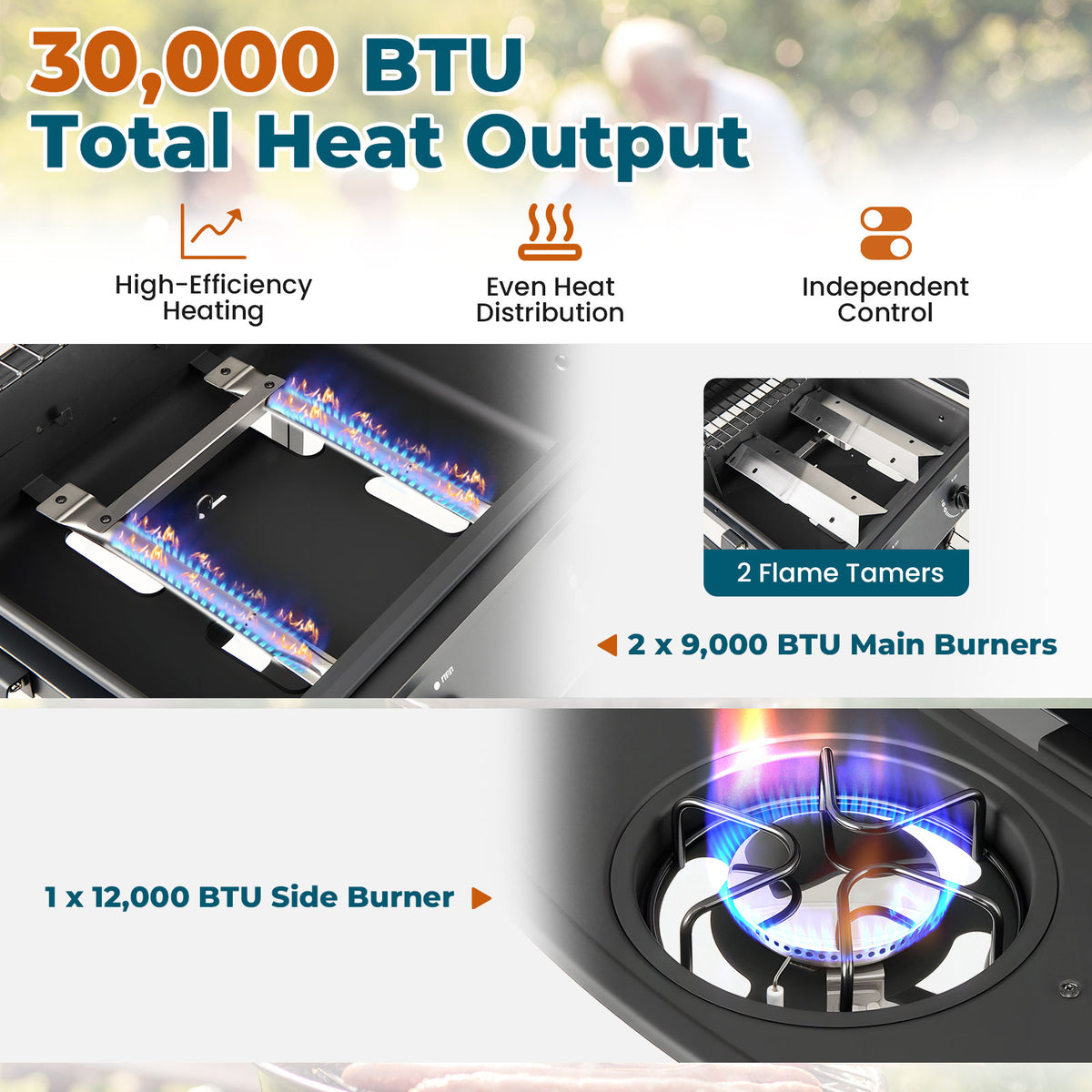 30 000 BTU Outdoor Burner Propane Gas Grill on Wheels-Black