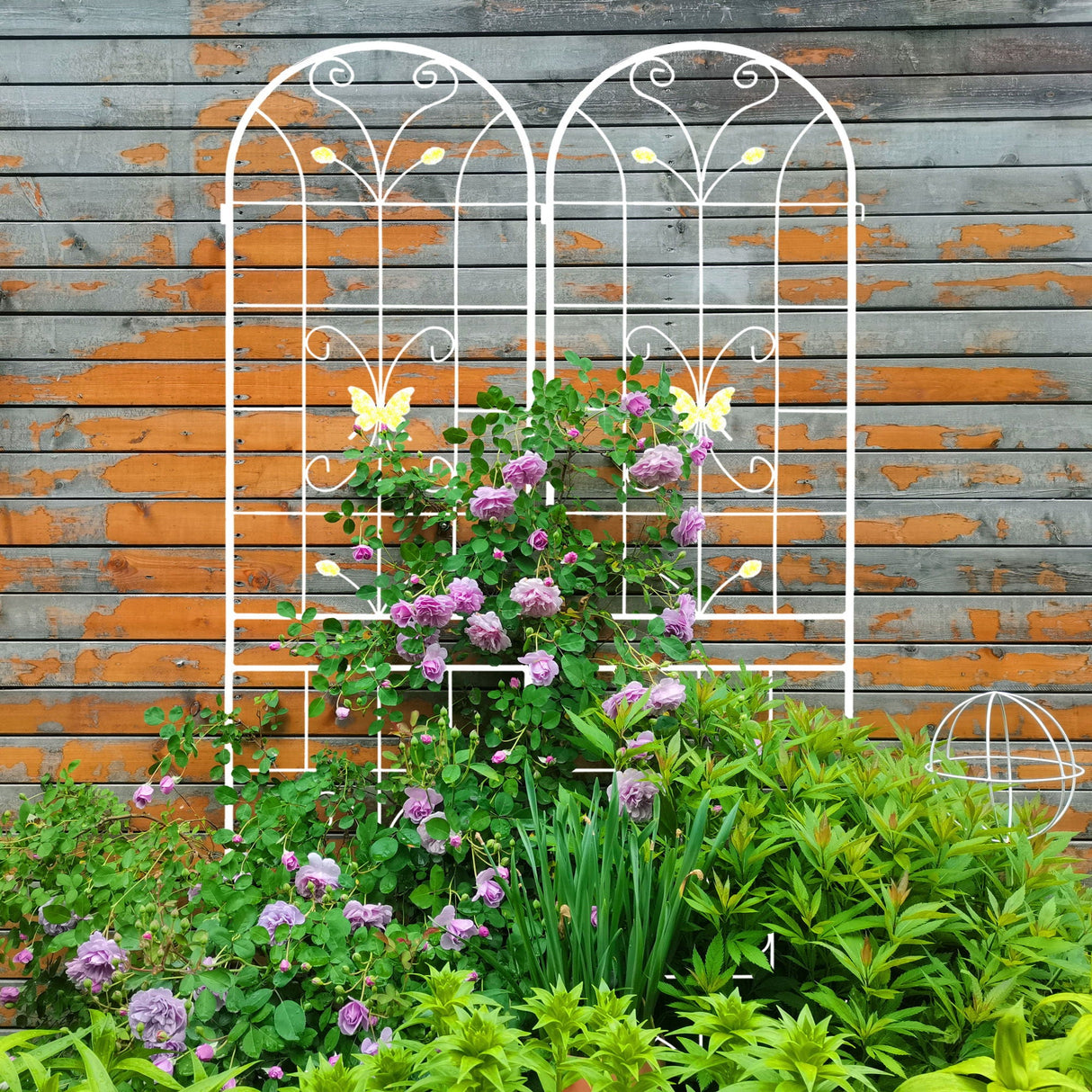 Garden Metal Trellis Rustproof Trellis For Climbing Plants Outdoor Flower Support by Couch.com