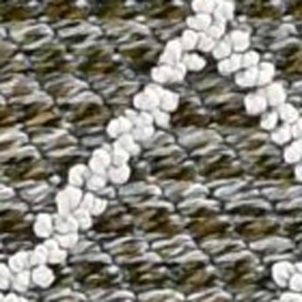 4' X 6' Gray Southwestern Indoor Outdoor Area Rug