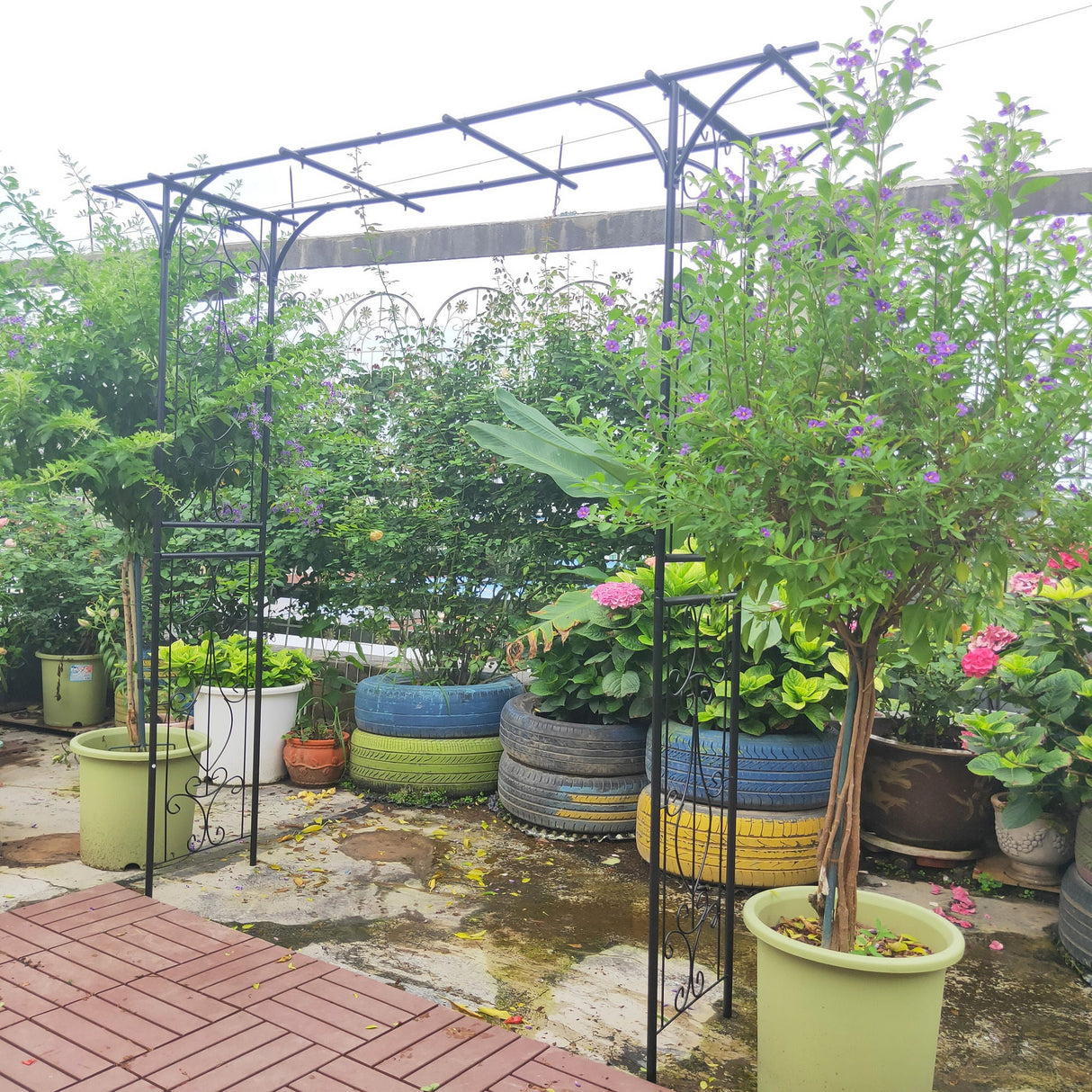 Metal Garden Arch Climbing Plants Support Rose Arch Outdoor - Black by Couch.com