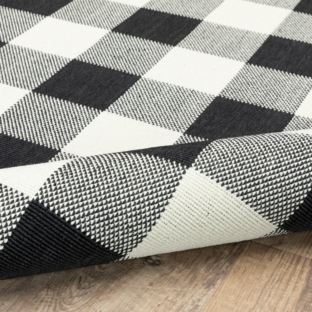 4' X 6' Black and Ivory Indoor Outdoor Area Rug