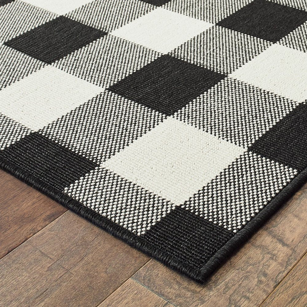 4' X 6' Black and Ivory Indoor Outdoor Area Rug