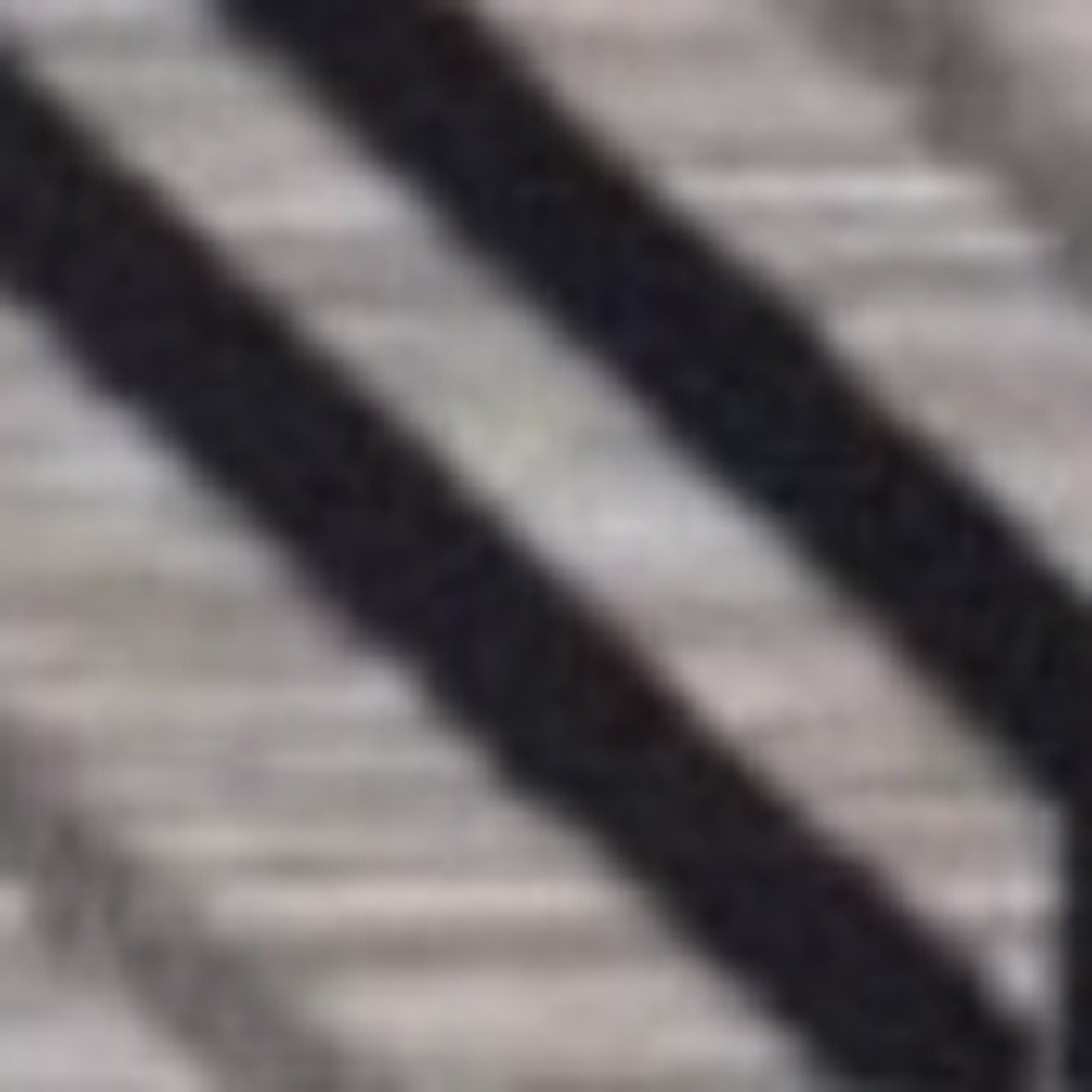 8' X 10' Black And Tan Indoor Outdoor Area Rug