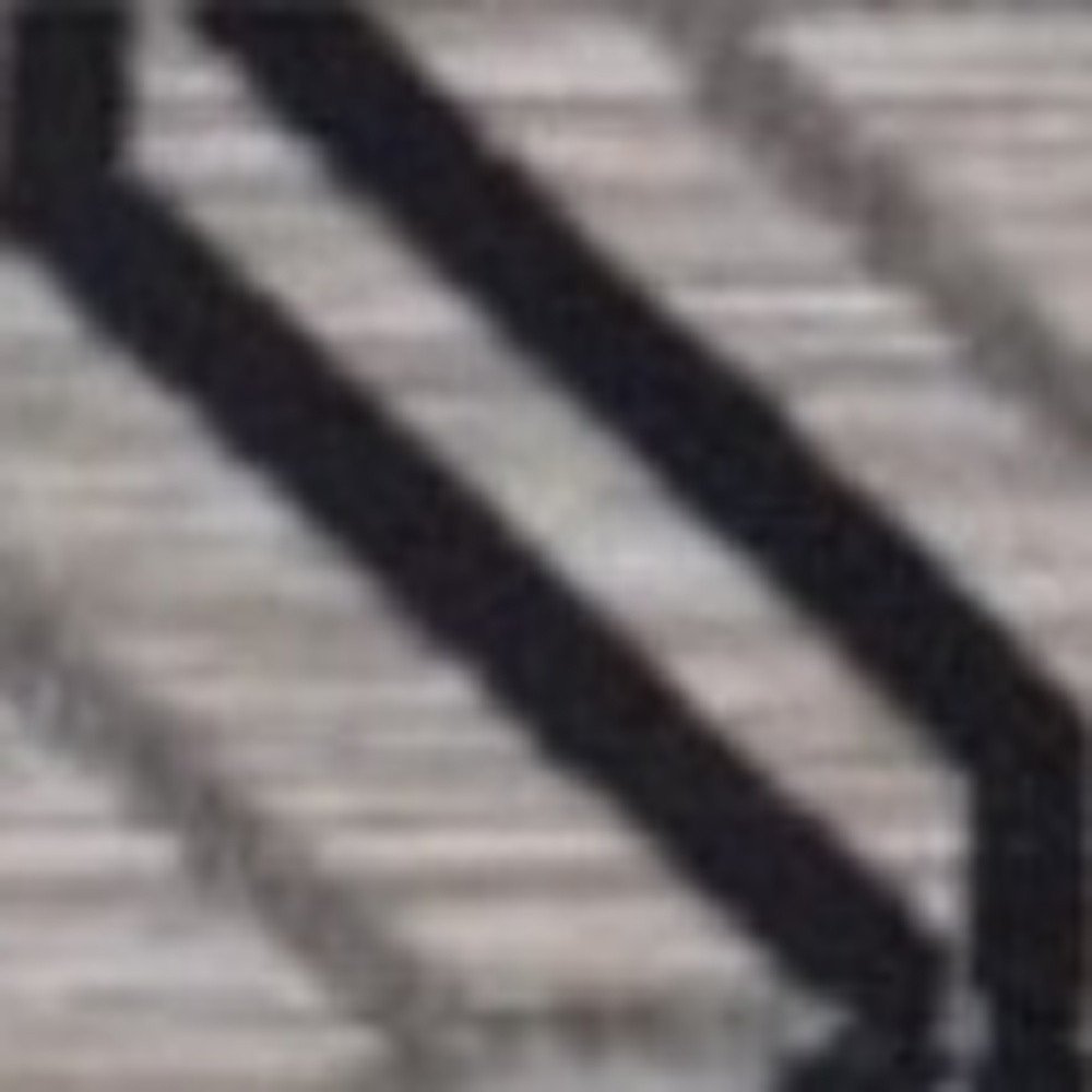 5' X 7' Black And Tan Indoor Outdoor Area Rug