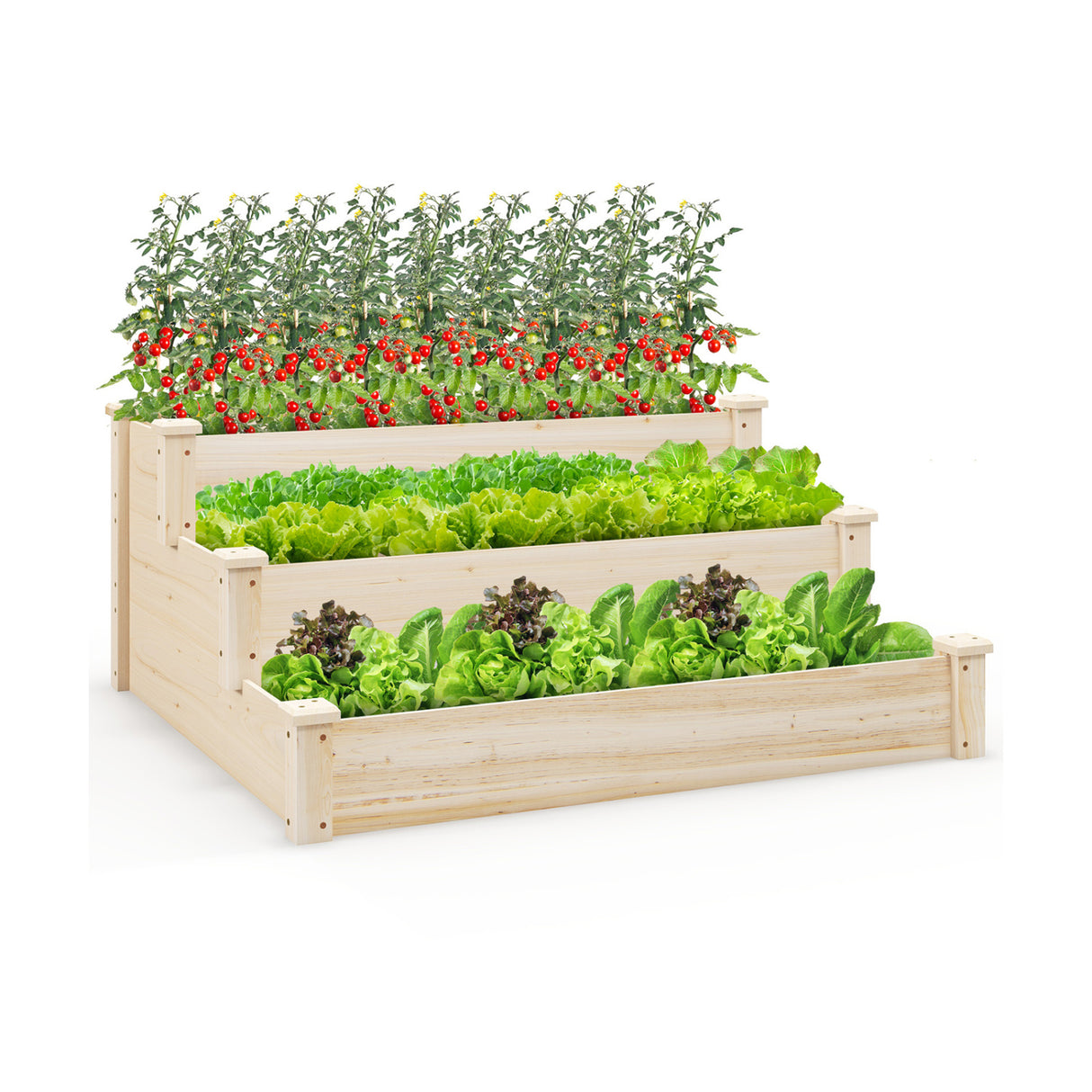 3 Tier Elevated Wooden Vegetable Garden Bed