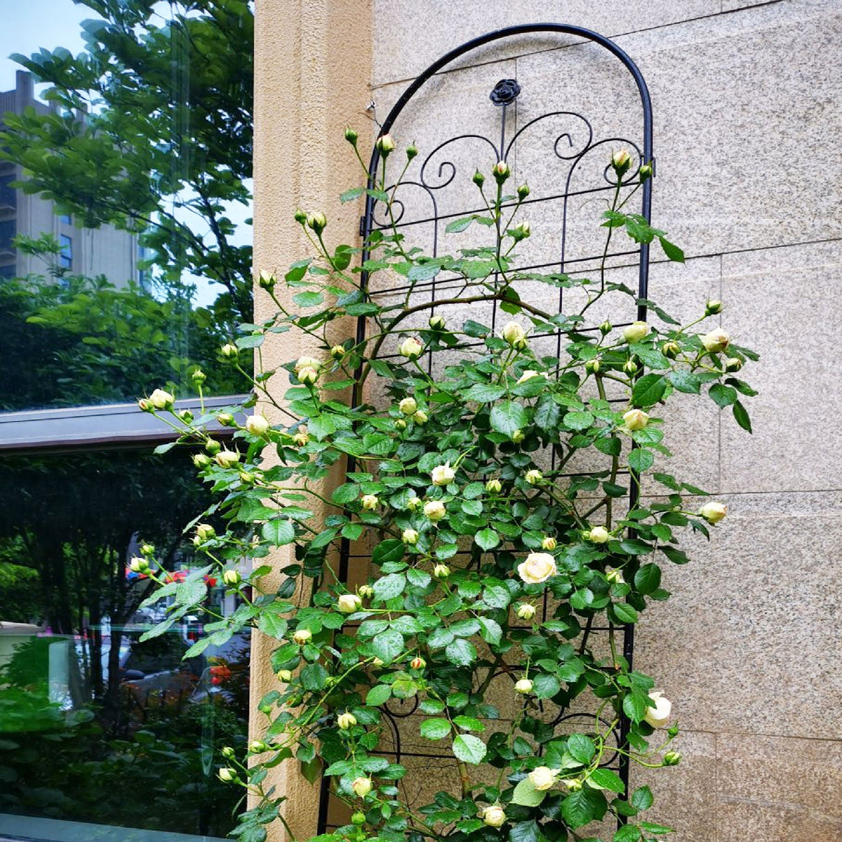 Metal Garden Trellis For Climbing Plants Outdoor Rustproof Plant Support Rose Trellis Netting Trellis by Couch.com
