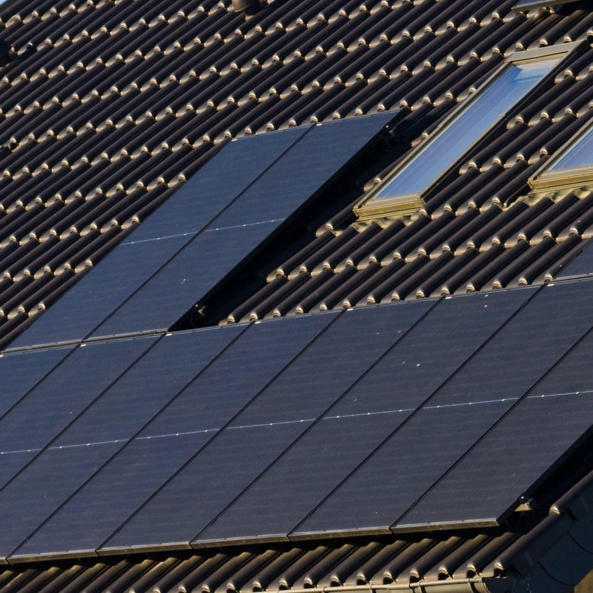 Rigid 440 Watt Bifacial Solar Panels (4 Pack)