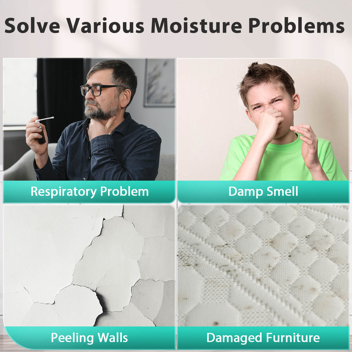 45 Pints Dehumidifier D4220B