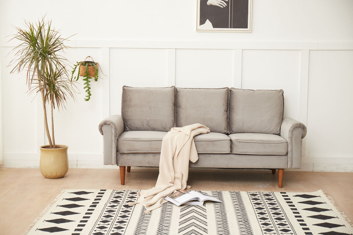 Graceful Design Plush Comfort Sofa by Couch.com