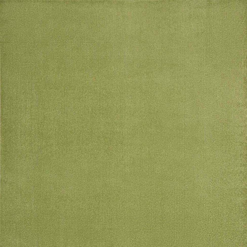 10' X 14' Green Indoor Outdoor Area Rug