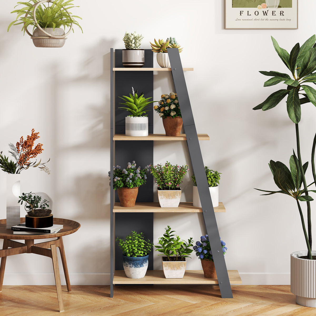 4-Tier Modern Bookshelf Wooden Vertical Display Book Shelf for Small Space-Oak