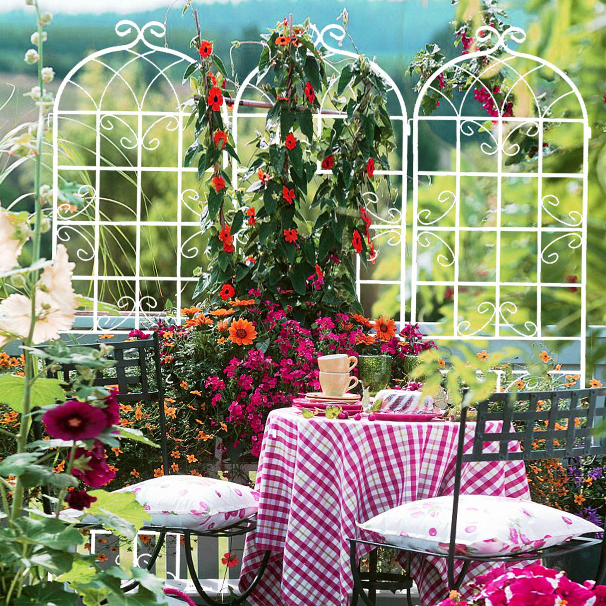 Metal Garden Rustproof Trellis For Climbing Plants Outdoor Flower Support by Couch.com