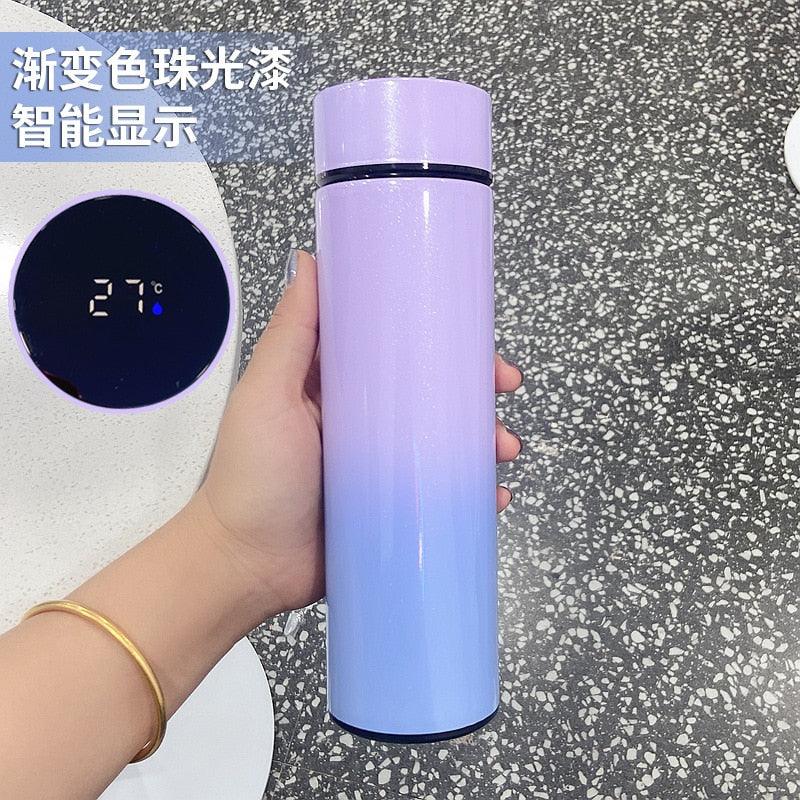 500ml Stainless Steel Intelligent Insulation Water Bottle Vacuum Bottle Insulation Touch Intelligent Temperature Display Intelligent Touch Display Temperature 304 Stainless Steel Thermos Water Bottle