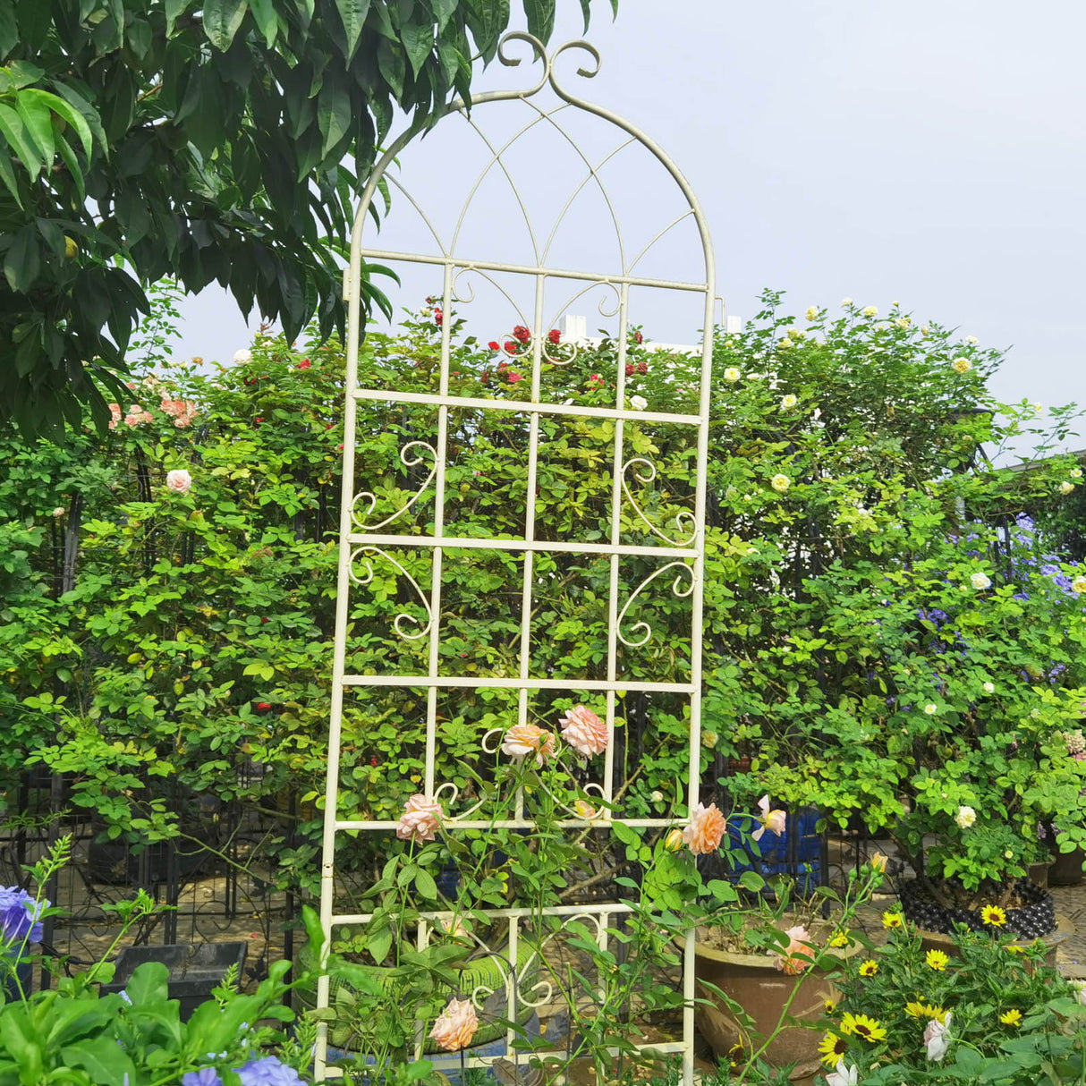 Metal Garden Rustproof Trellis For Climbing Plants Outdoor Flower Support by Couch.com