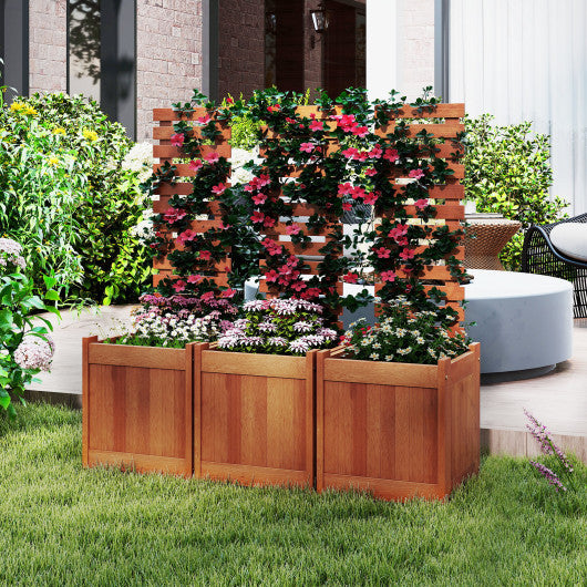Outdoor Wooden Raised Garden Bed with Trellis
