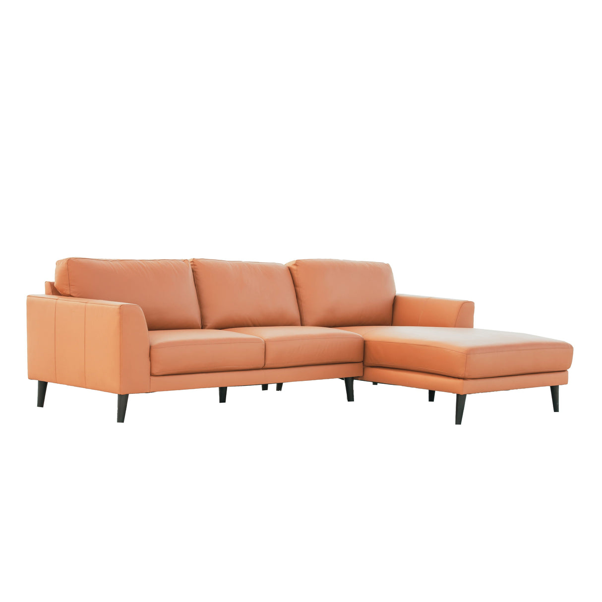 Alta - Modern Sectional by Couch.com
