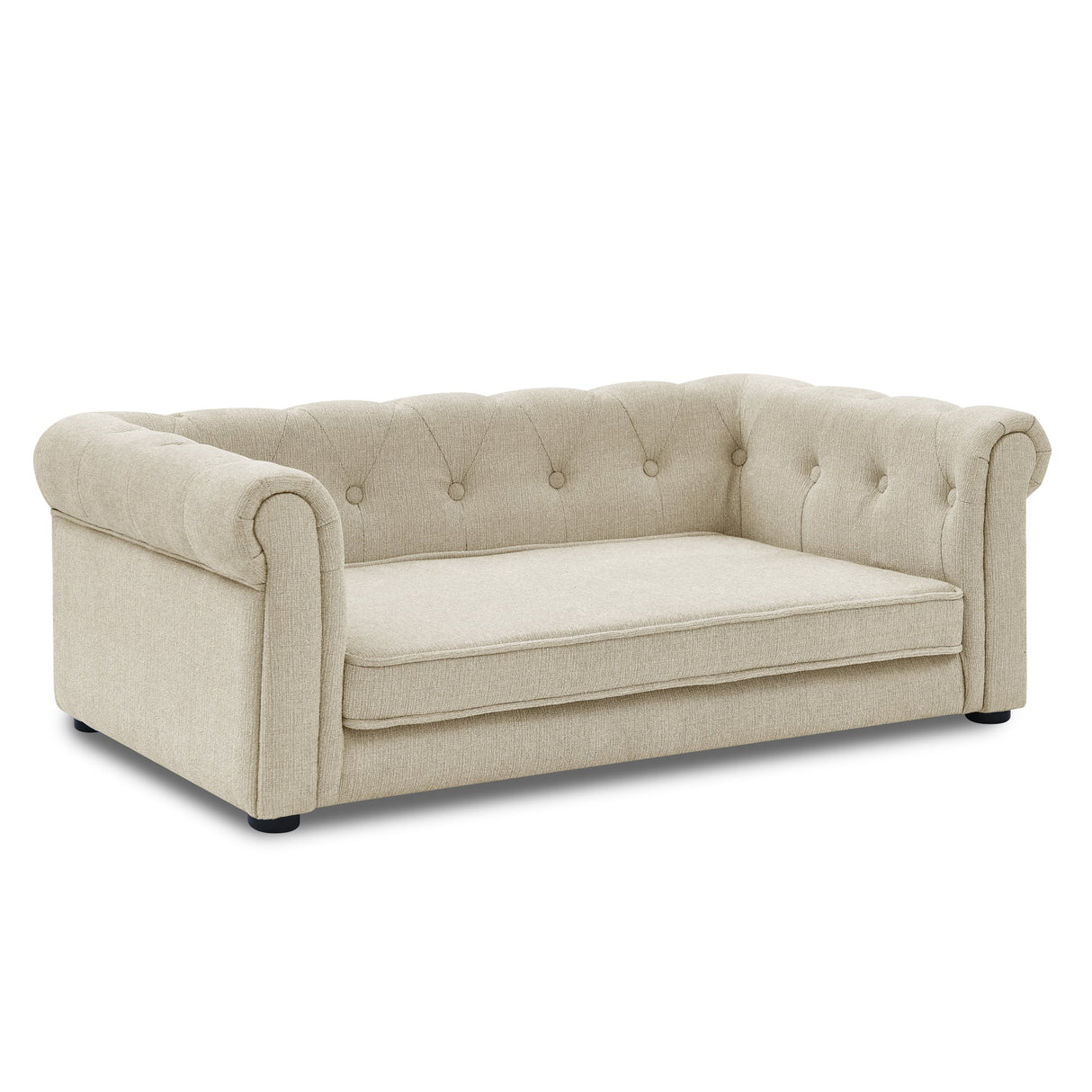 Modern Elegant Rectangle Elevated Pet Bed