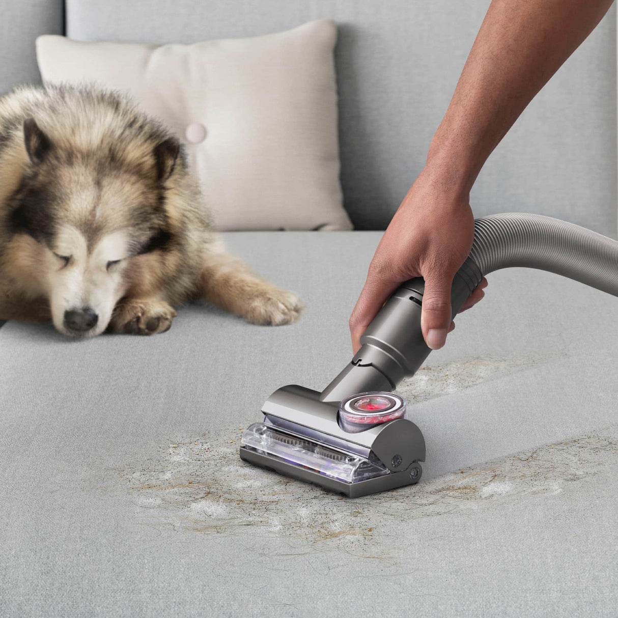 DYSON BALL ANIMAL 3 EXTRA UPRIGHT VACUUM in COPPER/SILVER (CERTIFIED REFURBISHED)