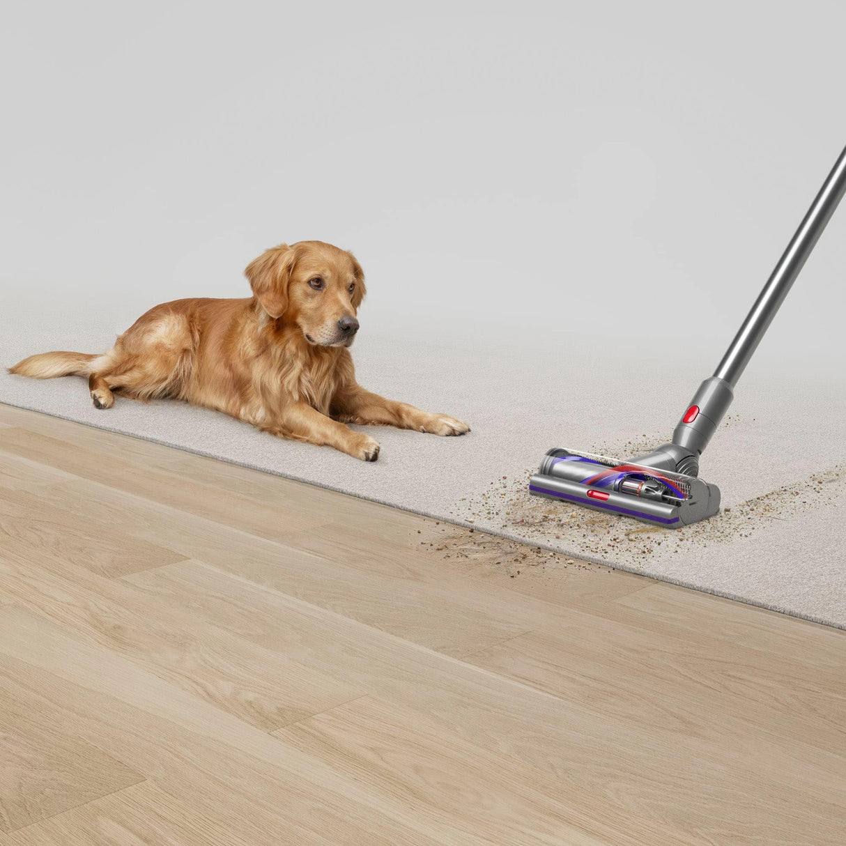 DYSON V15 DETECT CORDLESS VACUUM WITH 8 ACCESSORIES YELLOW/NICKEL (CERTIFIED REFURBISHED)