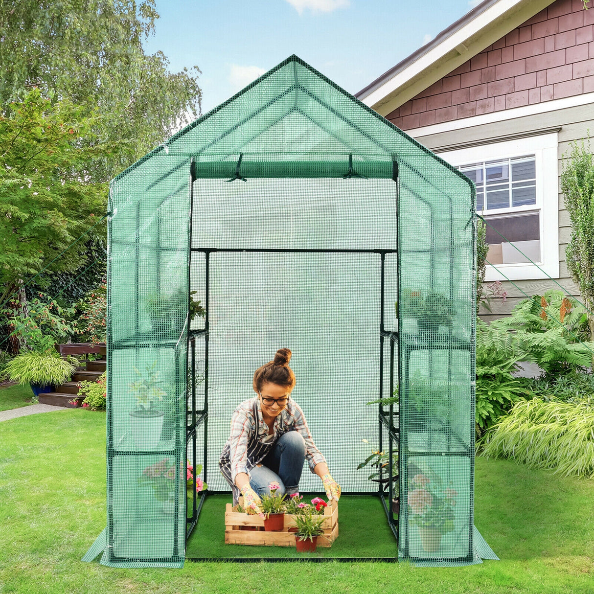 Walk-in Greenhouse 56 x 56 x 77 Inch Gardening with Observation Windows-Green