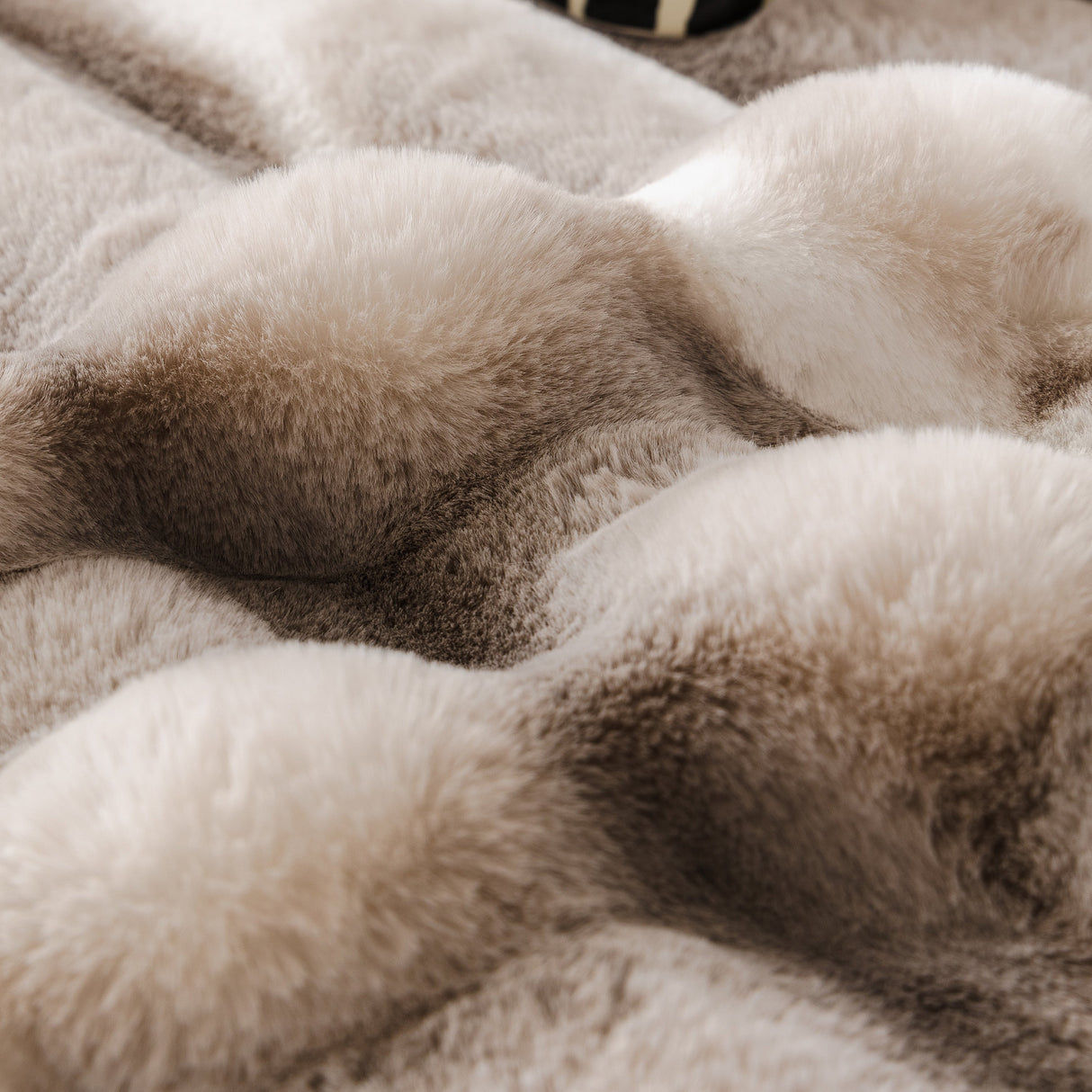 Ultra Soft Faux Fur Couch Cover – Large, Fluffy, and Elegant Sofa Throw Blanket