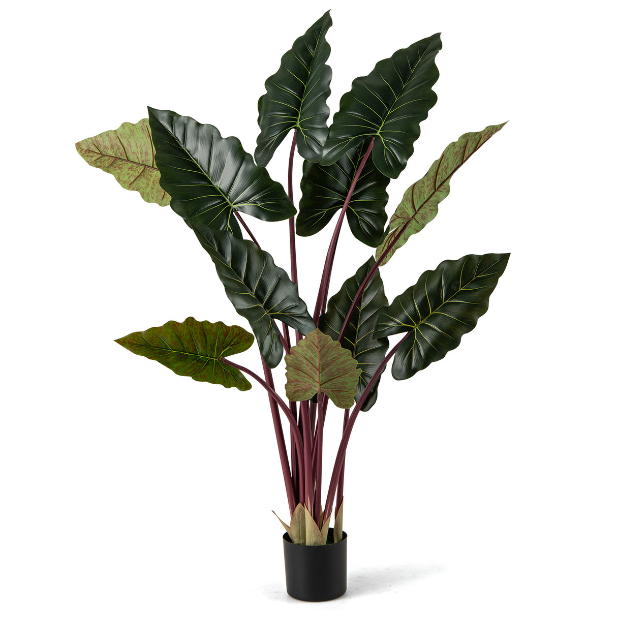Artificial Rainbow Taro Tree 63" Tall with 11 Faux Leaves-1 Pack