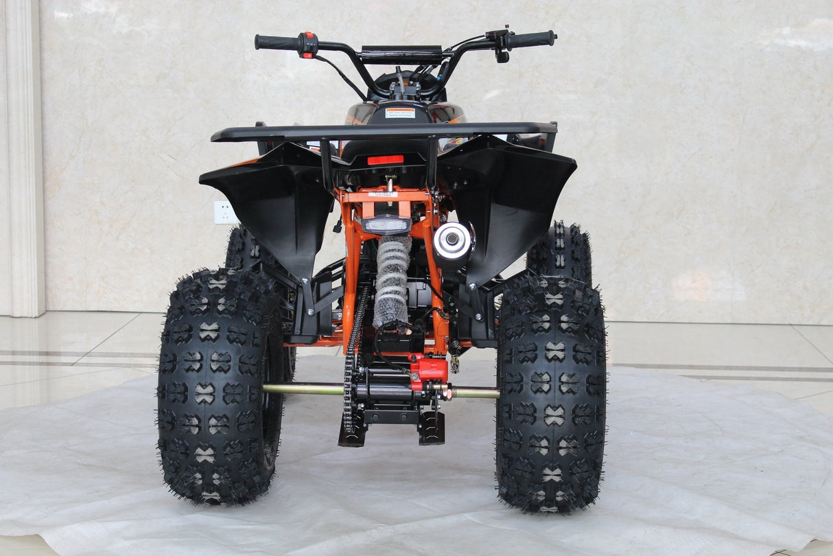 TrailMaster C125 125cc Sport ATV, Automatic with Reverse, 8-inch Wheels, Ages 9-12