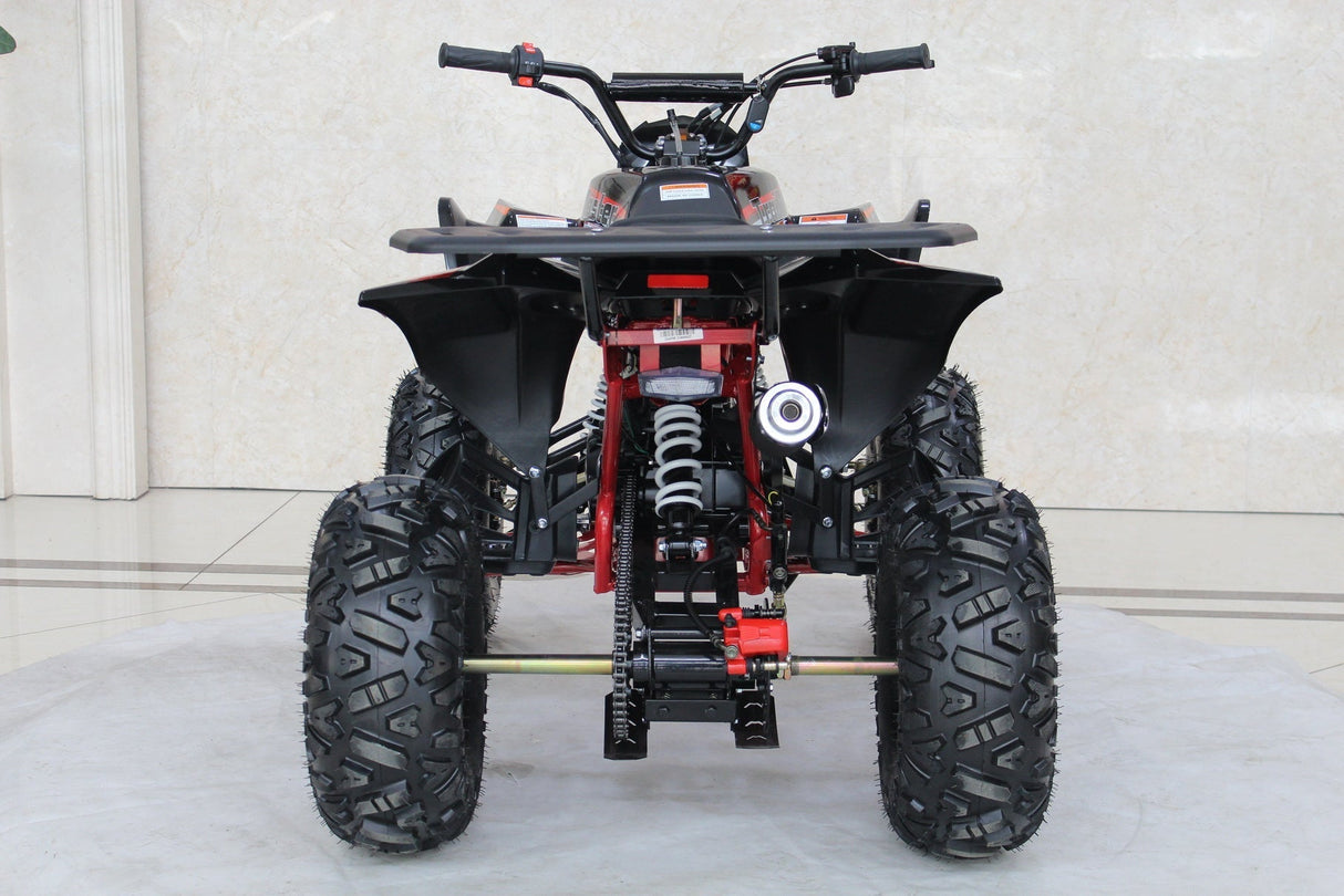 TrailMaster C125 125cc Sport ATV, Automatic with Reverse, 8-inch Wheels, Ages 9-12
