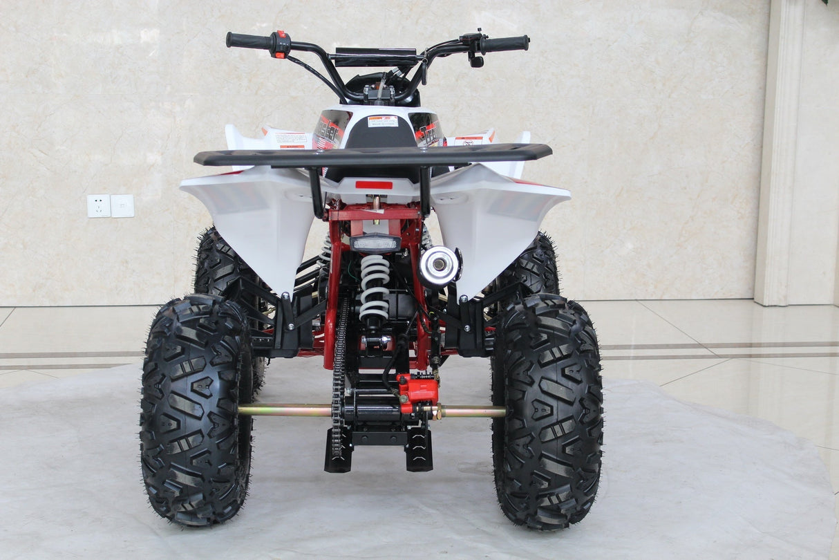 TrailMaster C125 125cc Sport ATV, Automatic with Reverse, 8-inch Wheels, Ages 9-12