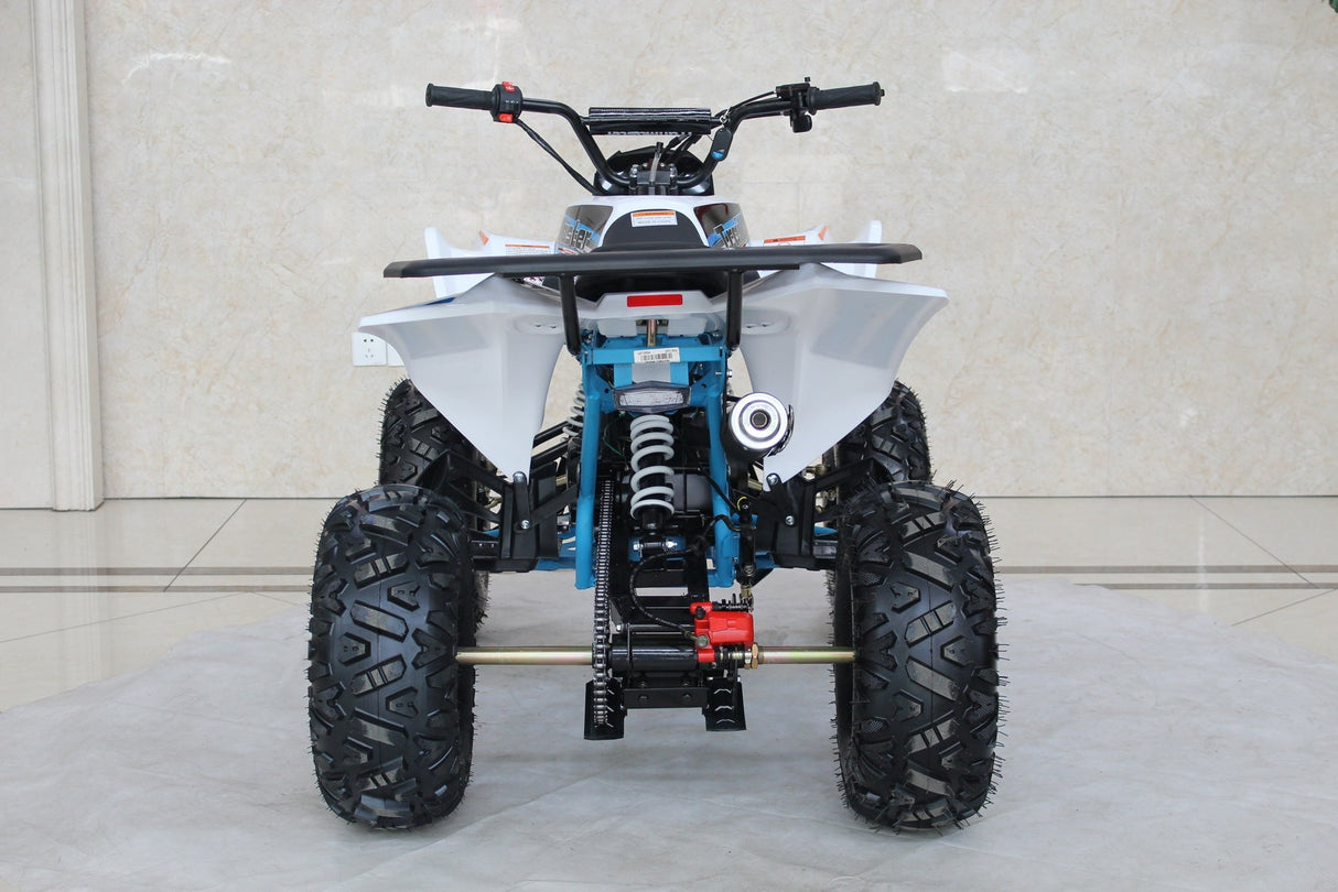 TrailMaster C125 125cc Sport ATV, Automatic with Reverse, 8-inch Wheels, Ages 9-12