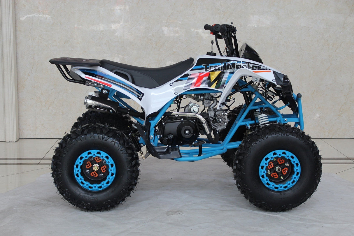 TrailMaster C125 125cc Sport ATV, Automatic with Reverse, 8-inch Wheels, Ages 9-12