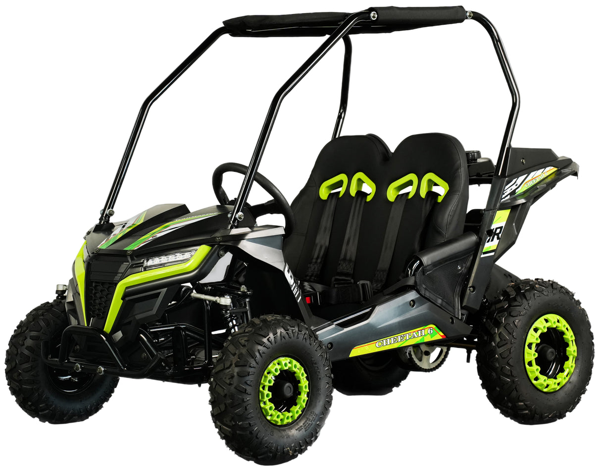 TrailMaster Cheetah-6 Go Kart, 5.5hp Electric Start, Remote Start/Kill with Reverse, Kids Ages 4-9