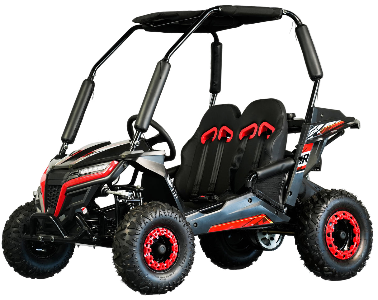 TrailMaster Cheetah-6 Go Kart, 5.5hp Electric Start, Remote Start/Kill with Reverse, Kids Ages 4-9