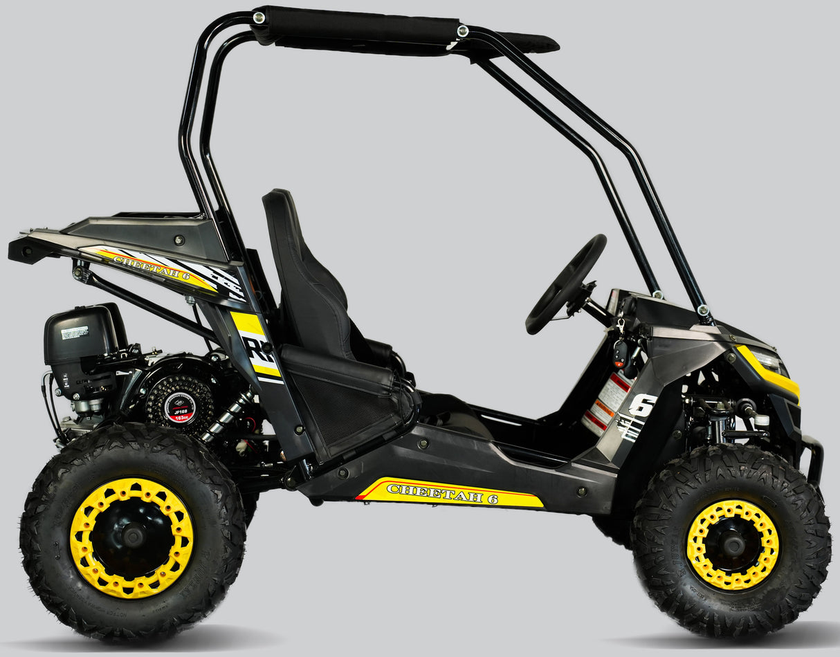 TrailMaster Cheetah-6 Go Kart, 5.5hp Electric Start, Remote Start/Kill with Reverse, Kids Ages 4-9