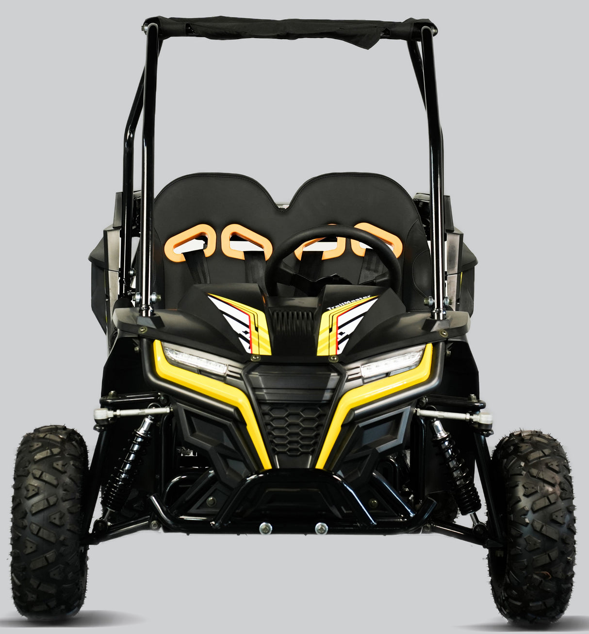 TrailMaster Cheetah-6 Go Kart, 5.5hp Electric Start, Remote Start/Kill with Reverse, Kids Ages 4-9